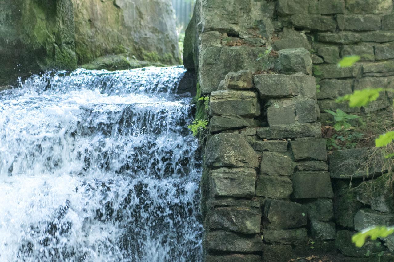 Haus Am Wasserfall Detmold Bagian luar foto